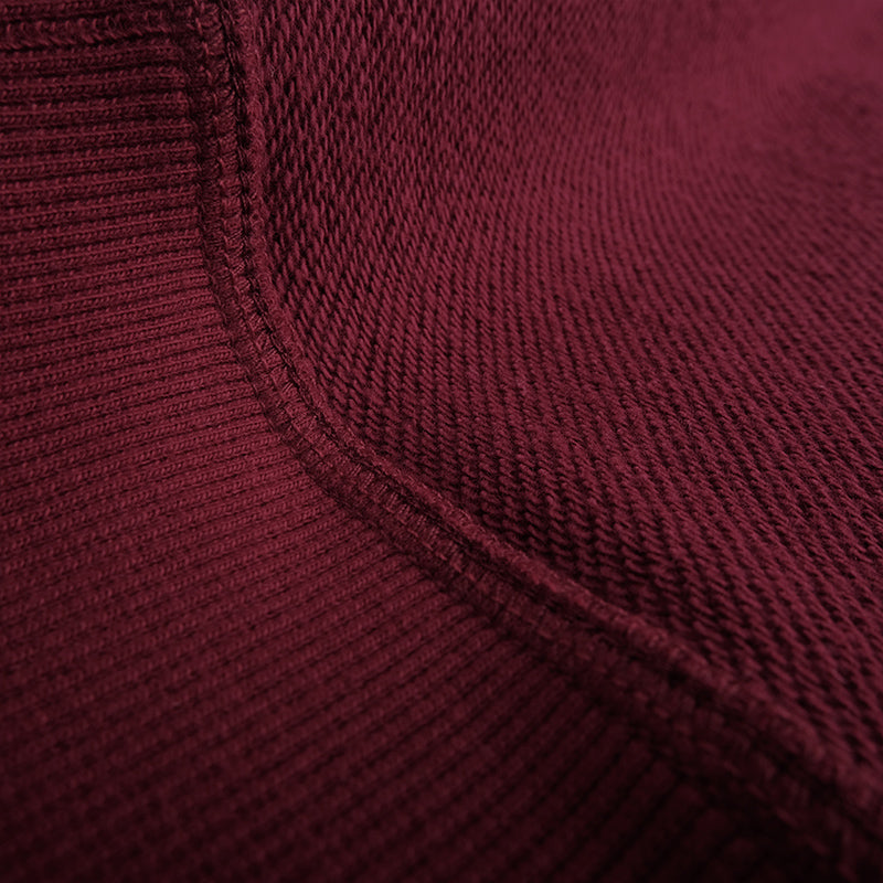 360G Heavyweight Cotton Loop Terry Hooded Pullover Sweatshirt